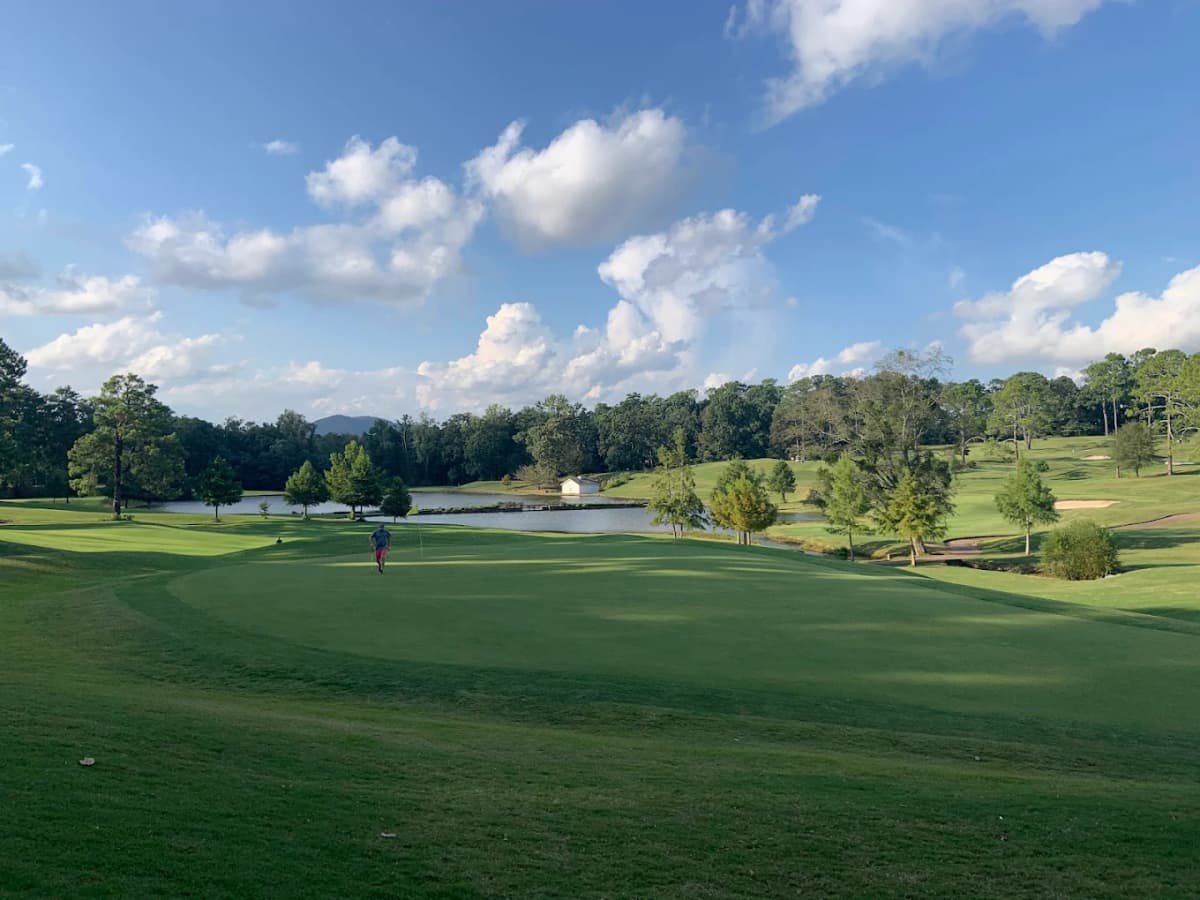 View of Marietta, GA